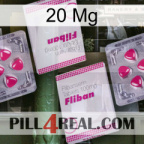 20 Mg 33
